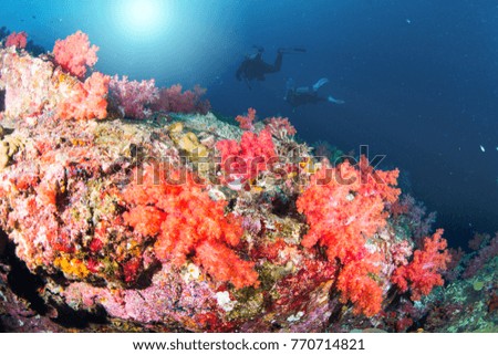 Wonderful and beautiful underwater world with ccoral reef landscape background in the deep blue ocean with colorful fish and marine life