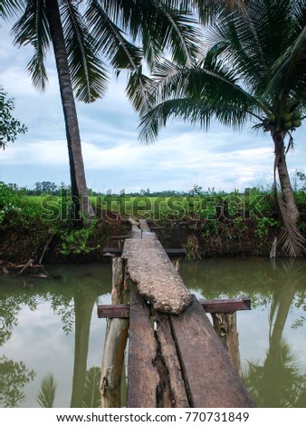 A rickety wooden bridge over a small creek in the rice fields of eastern Thailand