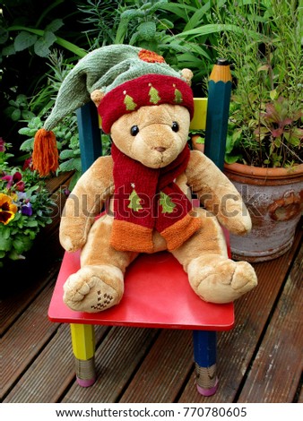 cute adorable Christmas teddy bear in embroidered scarf and hat posing on colorful toddler's pencil chair on the deck in my garden,  flowers and greenery in the background
