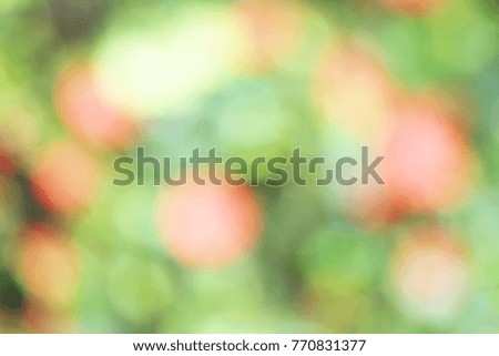 abstract bokeh background.
