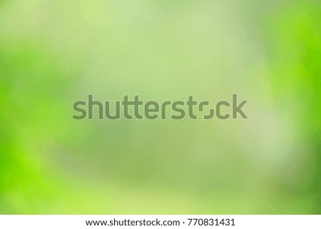 Abstract green blurred gradient background with sunlight. Nature backdrop. 