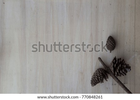 pine cone on wood board for background