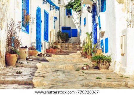 White-blue city of Sidi Bou Said, Tunisia. Eastern fairy tale with a French charm. Royalty-Free Stock Photo #770928067