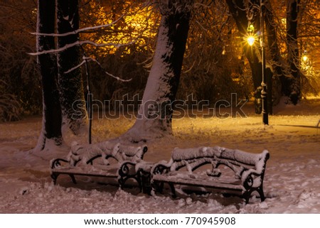 Winter snow night Park in Europe