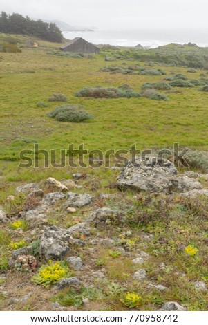 a nature landscape of the highland meadows of sea ranch  of northern california. There is an old historic barn in the background, there are rocks in the forground,