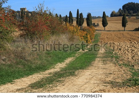 A dirt road in the fields of Tuscany, Italy