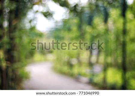 Blurry green path picture of the Queen Sirikit park in Bangkok, Thailand 