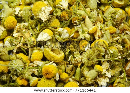 dried camomile flowers (Matricaria herb)