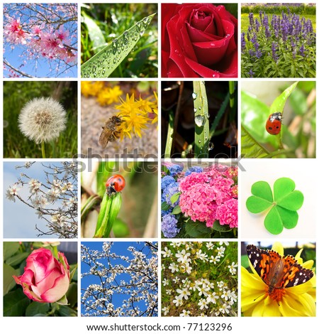 Spring collage showing different spring pictures