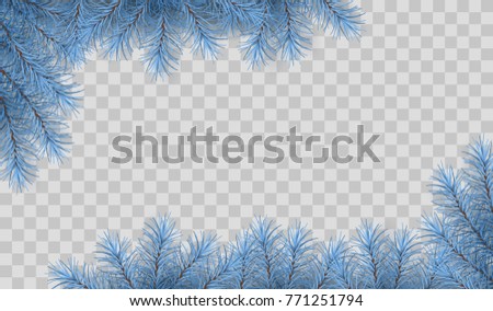 Pine tree vector spruce border. Branches of fir tree transparent background. Corner composition