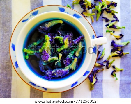 White cup of Tea Butterfly or Blue Pea top on plate and cloth with blurry dry blue pea flower background, Top view
