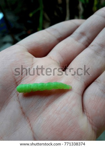 Green worm in hand