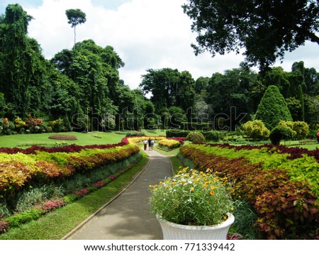 Colorful display of Coleus in a curved flower border in Botanical Garden of Peradeniya, Kandy Sri Lanka