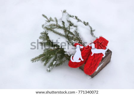 Red mittens, paper dog figures and green fir tree branches in wooden decorative box on snow.