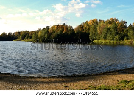 Landscape, autumn trees and grass over a lake