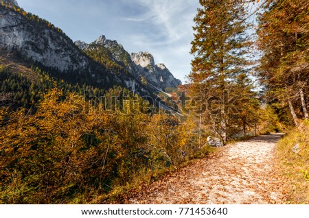Autumn Scenic image of fairy-tale woodland in sunlght. Impressive Sunny Landscape. Wonderful Autumn nature Background. Alpine High Mountain lake Vorderer, Gosausee. Upper Austria. Picture of wild area