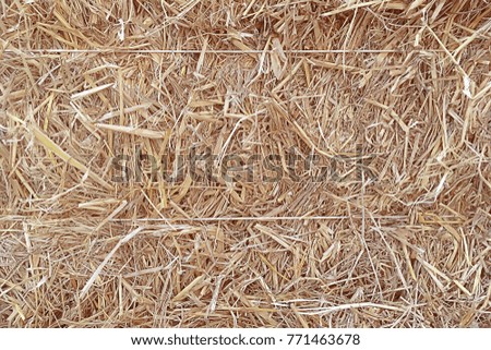 Nature background of straw or hay for graphic use.