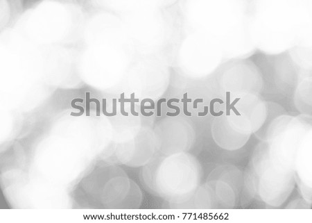 White and gray abstract background bokeh from natural. christmas blurred beautiful from nature.
