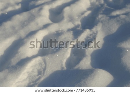Beautiful traces of animal and man on white snow, snowdrift. Winter background blur