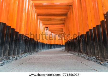 Many red door posts or Torii gates lined beside walkways in Fushimi Inari Shrine, Kyoto, Japan.