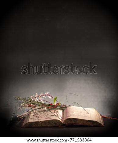 Old Book, Open with Artificial Flowers on Grey / Dark Background Royalty-Free Stock Photo #771583864