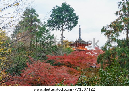 The beautiful Pagoda of Otowa-san Kiyomizu-dera in fall color, Kyoto, Japan