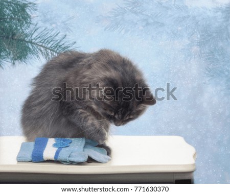 Kitty and winter blue mittens