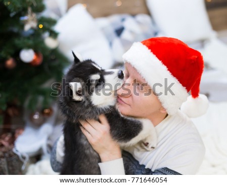man and puppy dog husky, amazing background Christmas lights. New Year holiday card calendar. Winter family home. Beautiful animals life. Couple friends Santa Claus. 