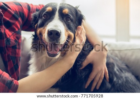 Young person with dog at home leisure Royalty-Free Stock Photo #771705928