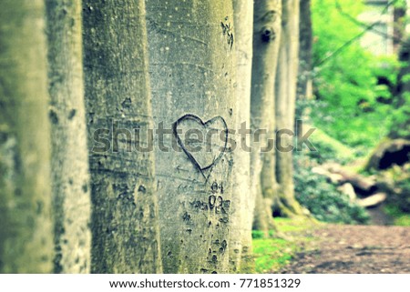 tree scratch love