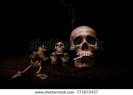 Skull smoking stub danger to health may be die / Still Life and black background