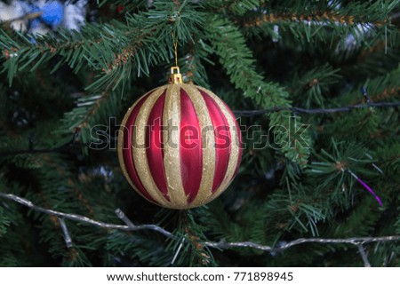 toy red ball on Christmas tree
