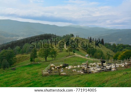 View of sheepfold in mountains Royalty-Free Stock Photo #771914005