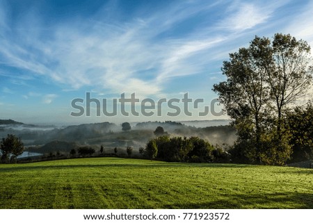 Trees on a meadow under blue skies with fluffy clouds shot early in the morning