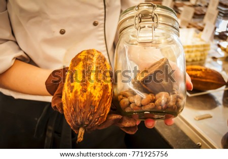 Young woman holding cocoa bean fruit with cocoa beans in a jar. 