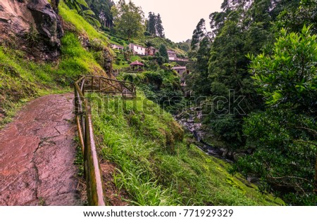 Natural Park of Ribeira dos Caldeirões on the island are miguel azores Royalty-Free Stock Photo #771929329