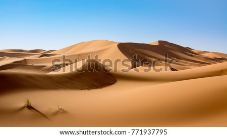 Sahara Desert, Erg Chebi dunes. Merzouga, Morocco Royalty-Free Stock Photo #771937795