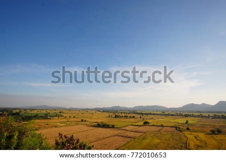 Farm field view  with blue sky