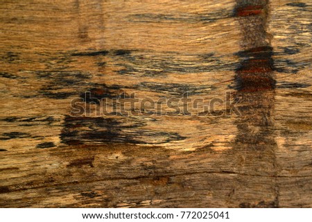 Wood background and texture.