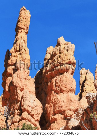 in the Bryce Canyon Utah USA the rock formations resemble human statues