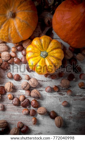Pumpkins walnuts chestnuts and hazelnuts on old white rustic wooden table overhead and dramatic light in studio