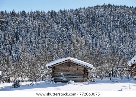 winter landscape photos