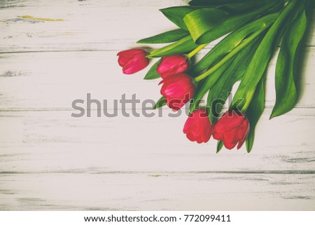 Beautiful flowers on a wooden white background