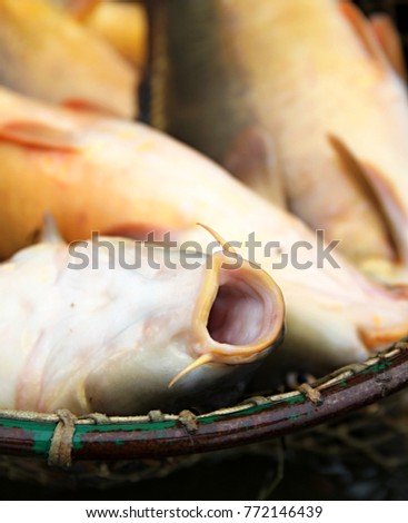 lots of fresh fish just been caught from the sea stock photo