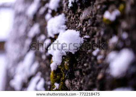 closeup view of a stone wall covered by moss and snow, with blurred background 