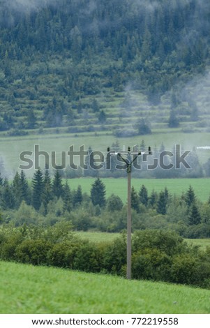 panoramic view of misty forest. far horizon. mountain area in slovakia  with electricity poles and bird hawk