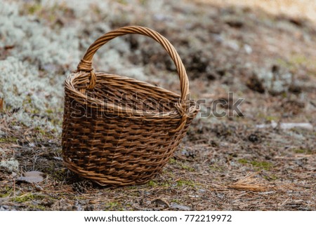 beautiful wooden woven basket in front of forest heatherwith blur background and copy space in autumn