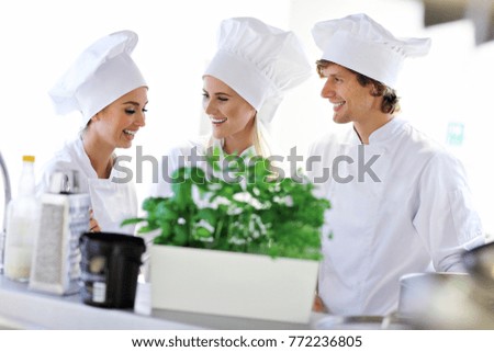 Picture showing busy chefs at work in the restaurant kitchen