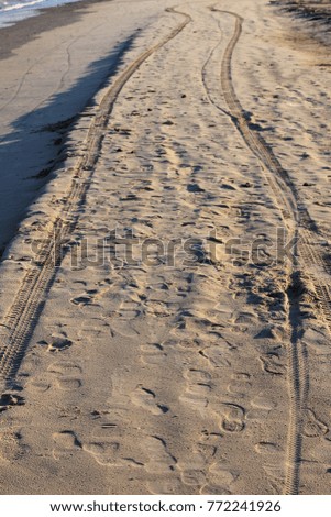 Car tracks on the sandy coast
