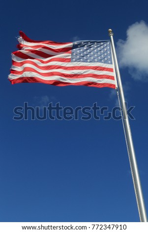 American Flag in the wind